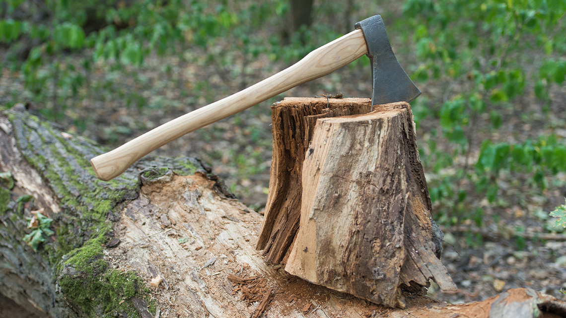 A metal axe wedged into a block of wood.