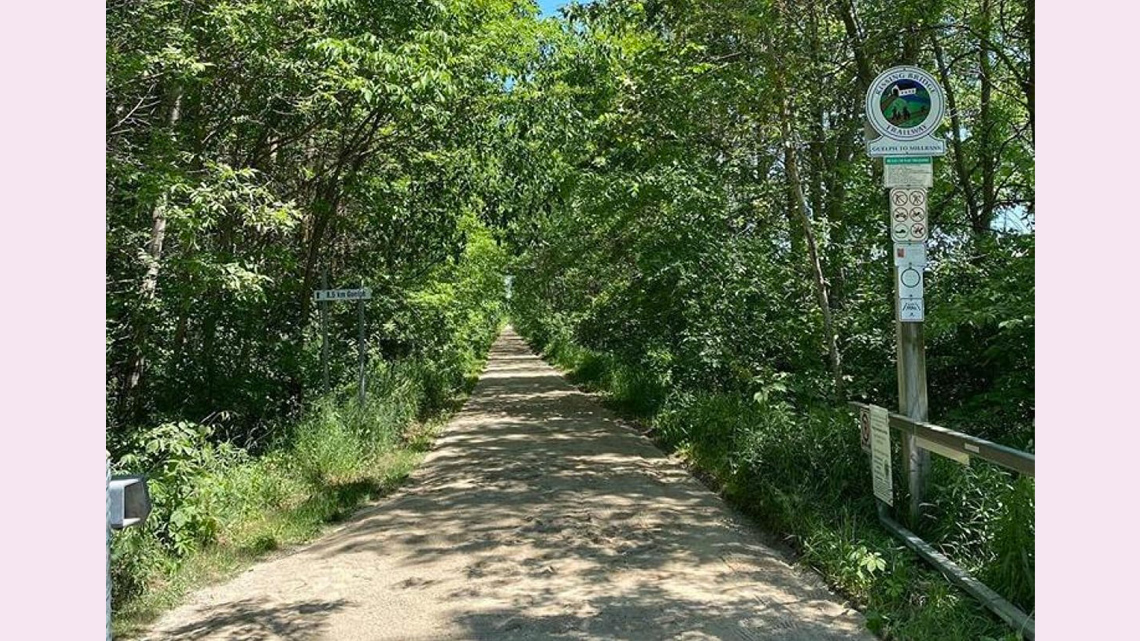 A wide gravel path stretches into the distance. It is surrounded by trees and shrubs on either side.