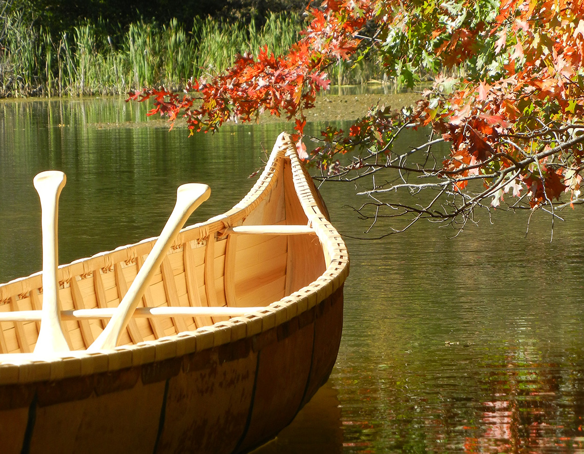 A canoe resting in the lake with two paddles inside the canoe. It is in calm water with a tree beside the water’s edge.