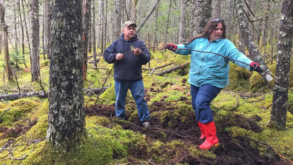 Todd Labrador and his daughter Melissa retriving roots from spruce trees to use them in building canoes.