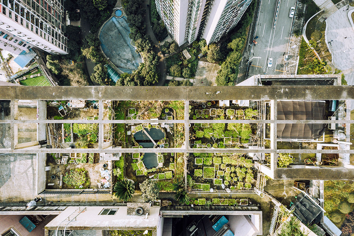 Aerial view of a multi-plot vegetable garden on a building rooftop.