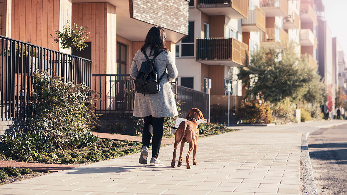 A person walking with their dog down a sidewalk. 