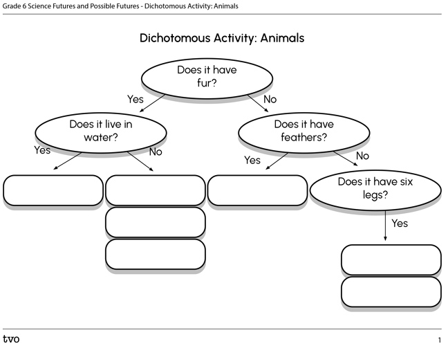 Dichotomous Activity: Animals