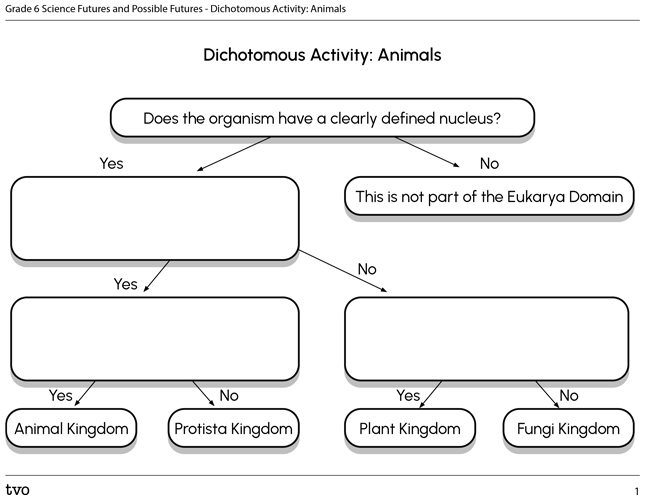 Dichotomous Key Template