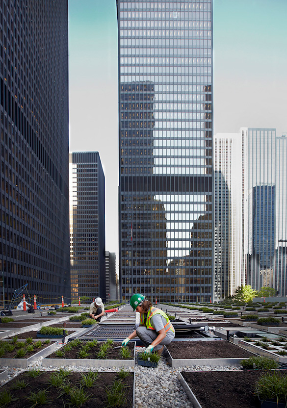 Sustainable structure, TD tower, in TD Centre, Toronto, Ontario.