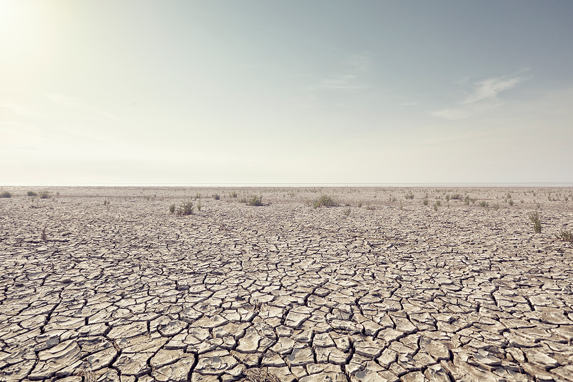 Dry desert ground.