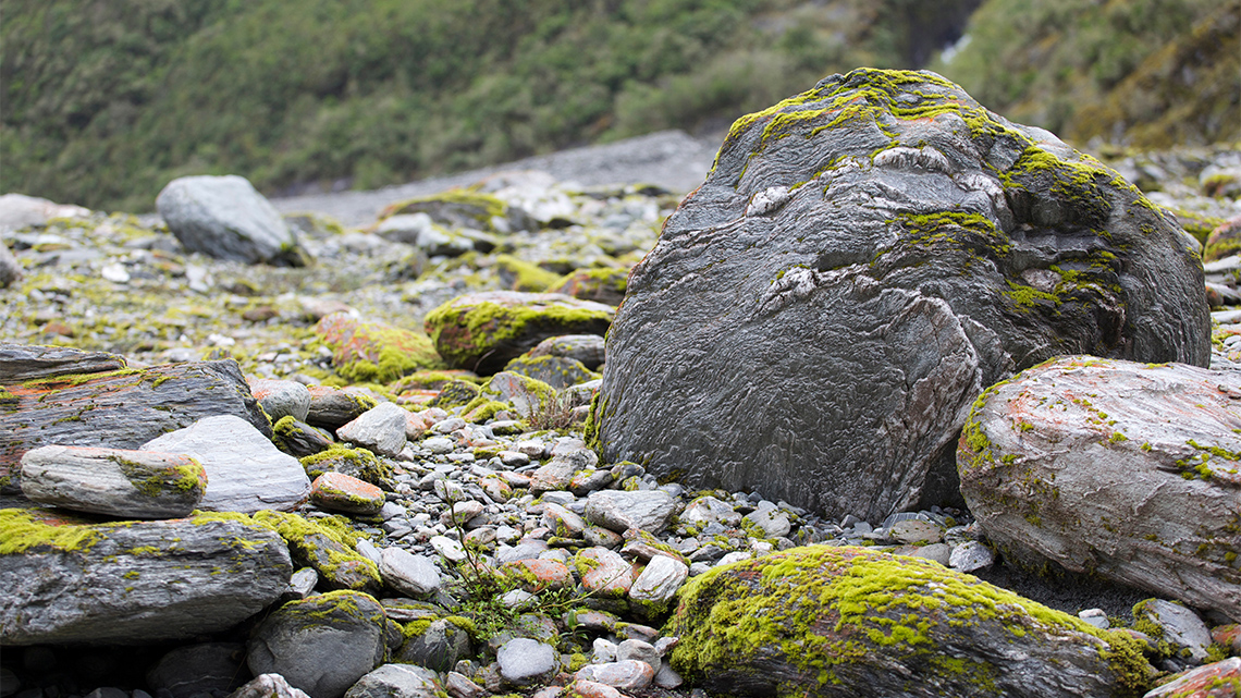 Rocks covered in lichen and moss. 