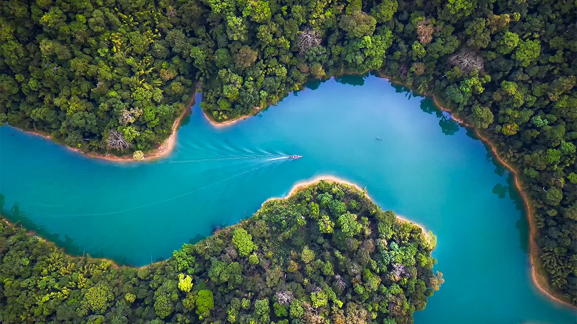 Aerial view of a winding river through a forest. Trees and plants on either side of the river.