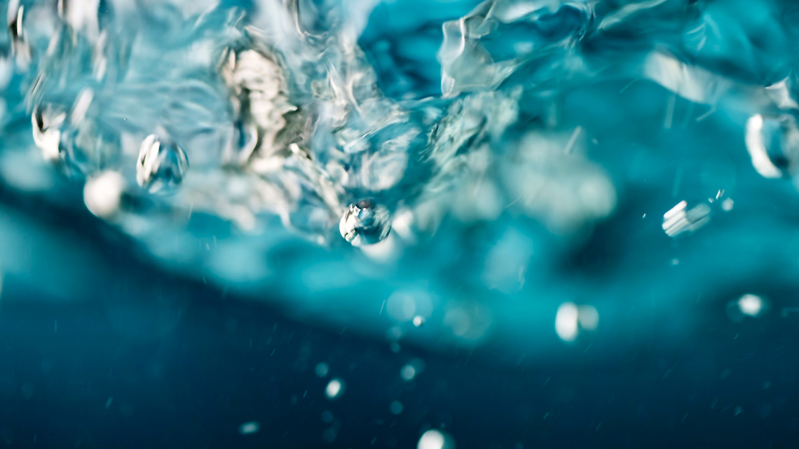 The view of water up-close.