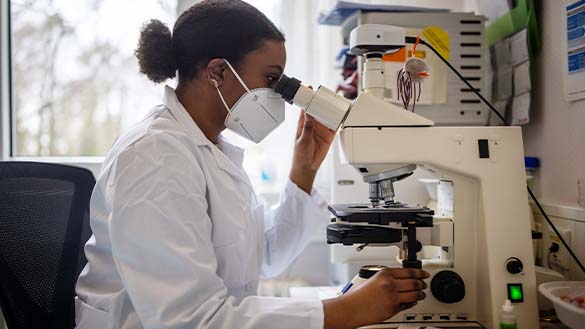A scientist looking through a microscope.