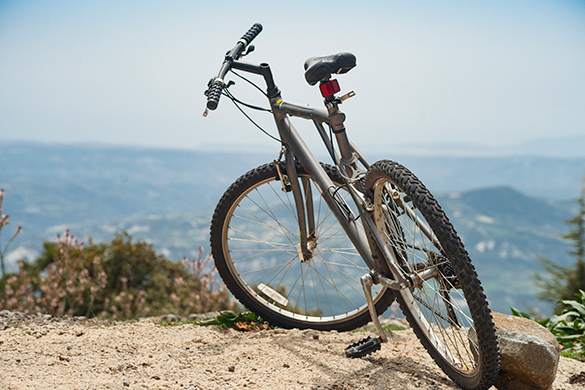 Mountain terrain bicycle with two wheels, a water bottle holder, and thicker tires.