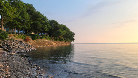 The shore line next to a body of water. The shore line is lined with trees.