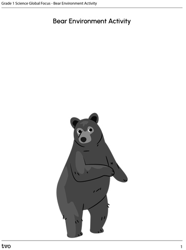 Bear Environment
