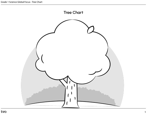 Tree Chart
