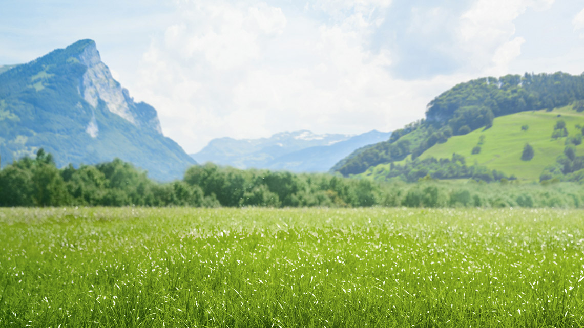 A field with long grass. In the distance are trees in front of large hills and a mountain. The sky is clear and there are clouds in the sky.