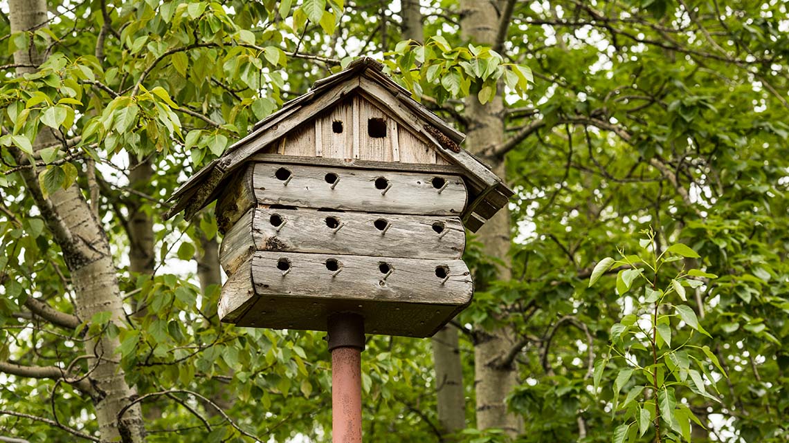A wooden bird house with 12 small, round holes on a metal pole. It has a roof and a small opening near the top that is square shaped.