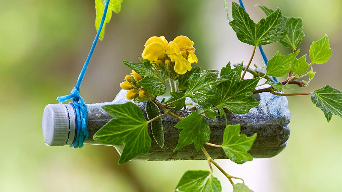 A plastic water bottle with a flower growing out of the side.