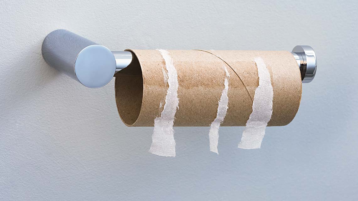 A toilet paper roll.