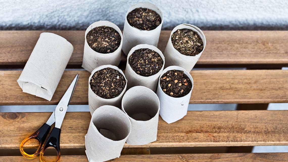 A bunch of toilet paper rolls used as planters