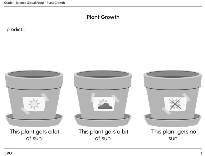 Plant Growth