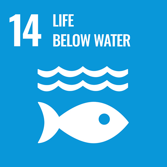 This goal is life below water with a fish swimming in the ocean.