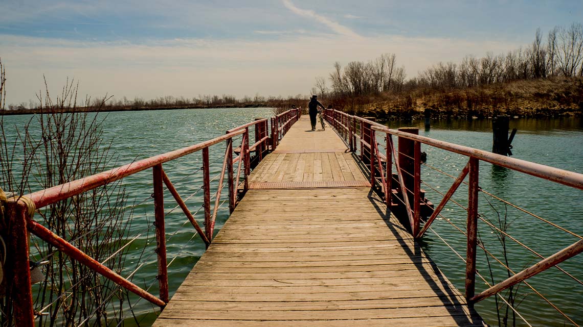 A wooden bridge built over water in a conservation area. A person has their bike on the bridge.