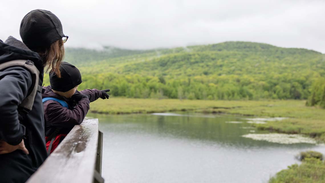 A wooden bridge built over water in a conservation area. Two people are on the bridge looking out at the landscape.