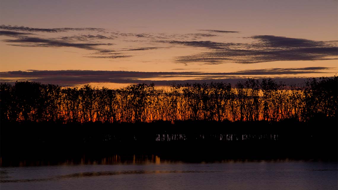 An image of Tommy Thompson Park at sunset.
