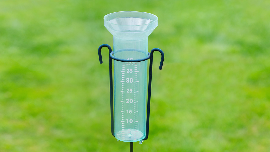Rain gauge in a backyard measuring how much rain recently fell in the area.