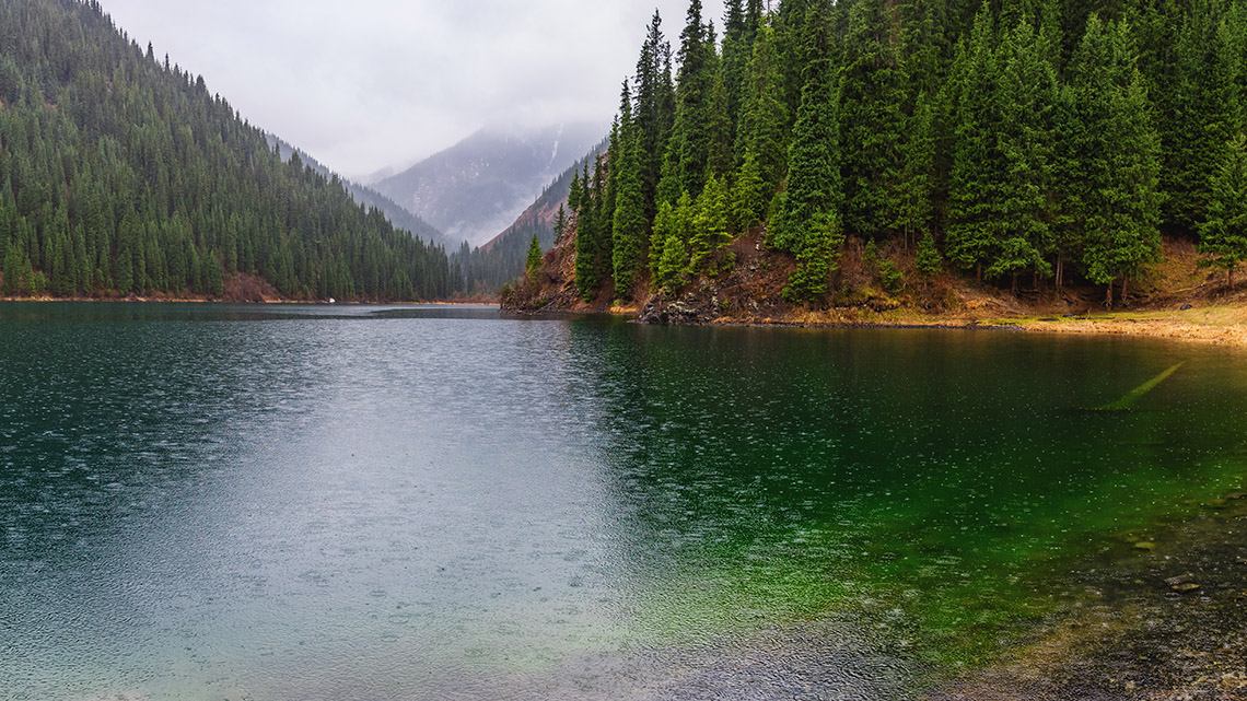 Rain falls from clouds into a lake surrounded by trees.