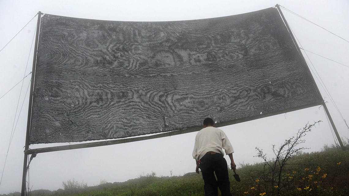 A person checking a net that is used to catch water from fog.
