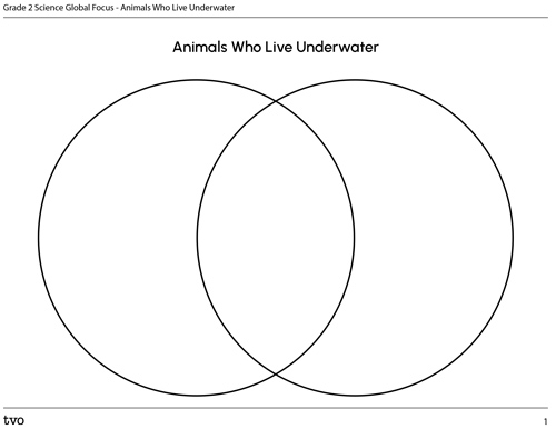 Animals Who Live Underwater