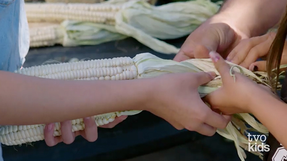 Someone is braiding corn husks together.