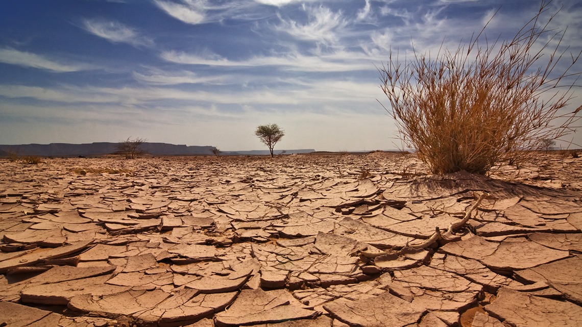 Dry and cracked land.
