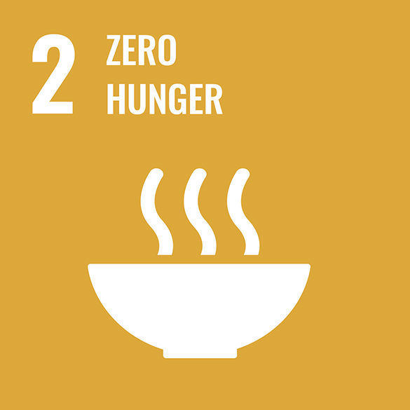 Goal 2 is focused on zero hunger with a bowl of warm food.
