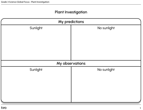 Plant Investigation