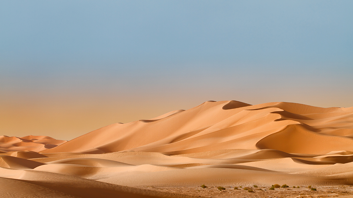 Large sand dunes in the Sahara Desert.