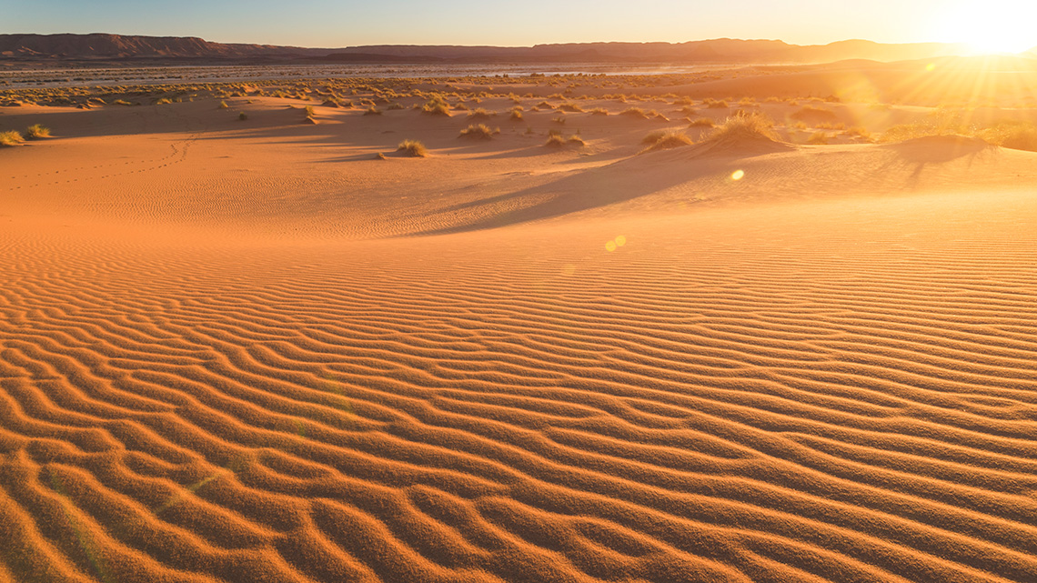 Sunset in the Sahara Desert.