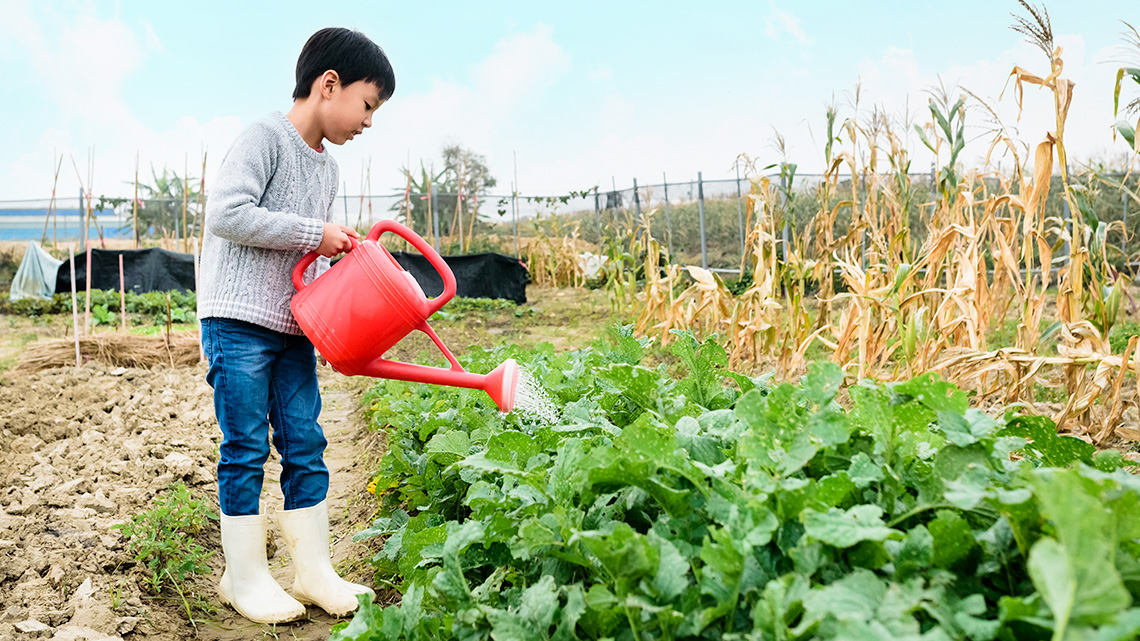 A child watering plants with a watering can.