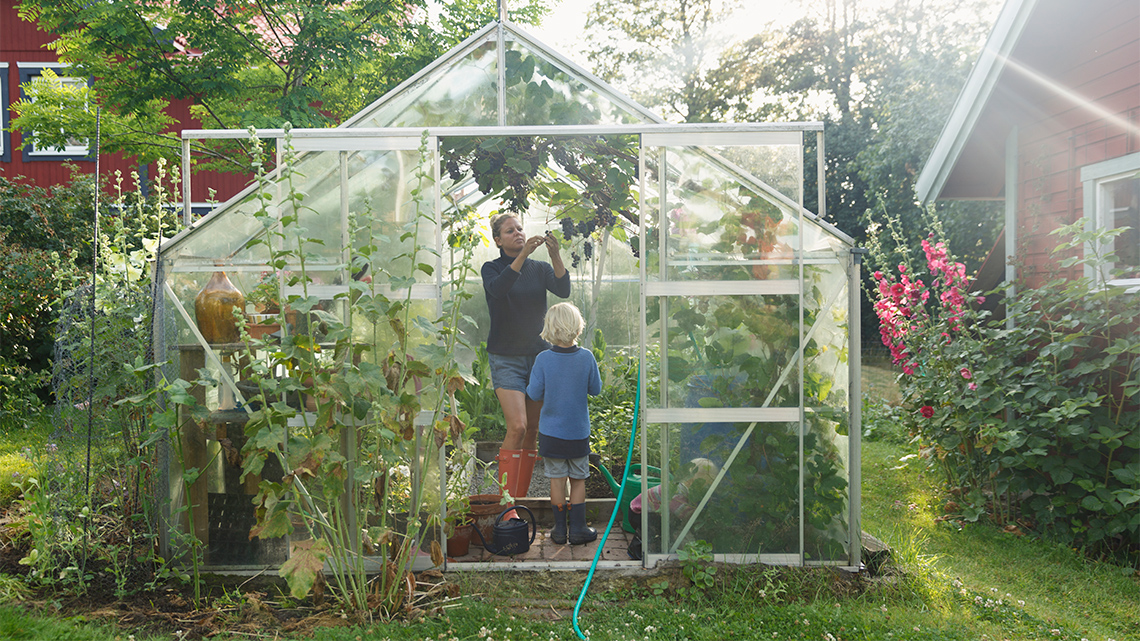 A small greenhouse in a backyard growing plants.