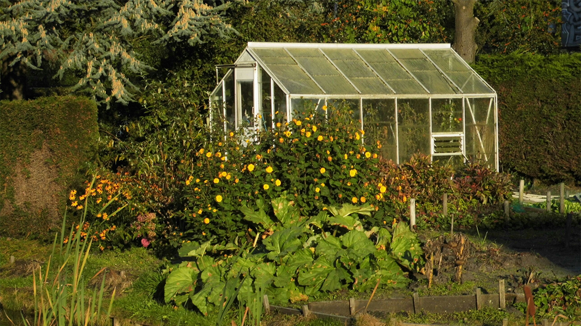 A very small greenhouse that could fit in a small yard.