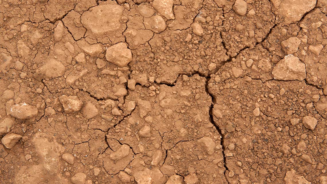 Cracked earth with dirt.
