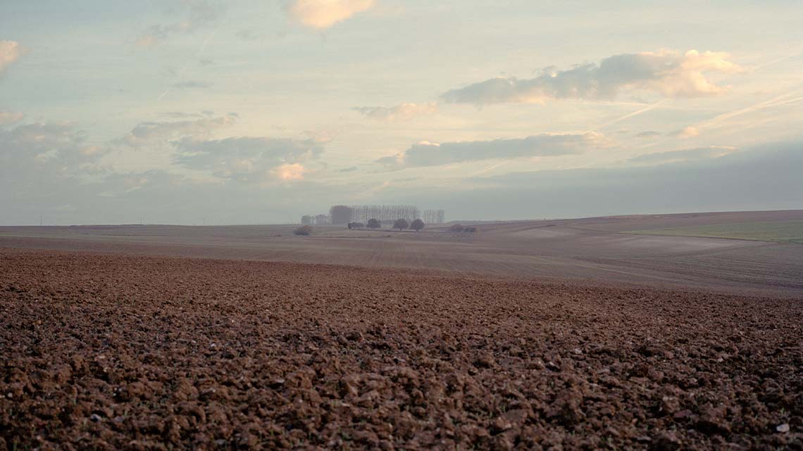 Field