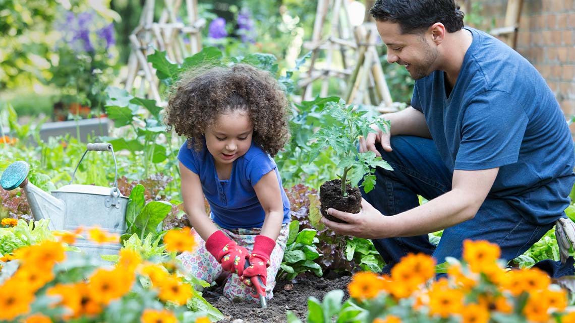 Gardening