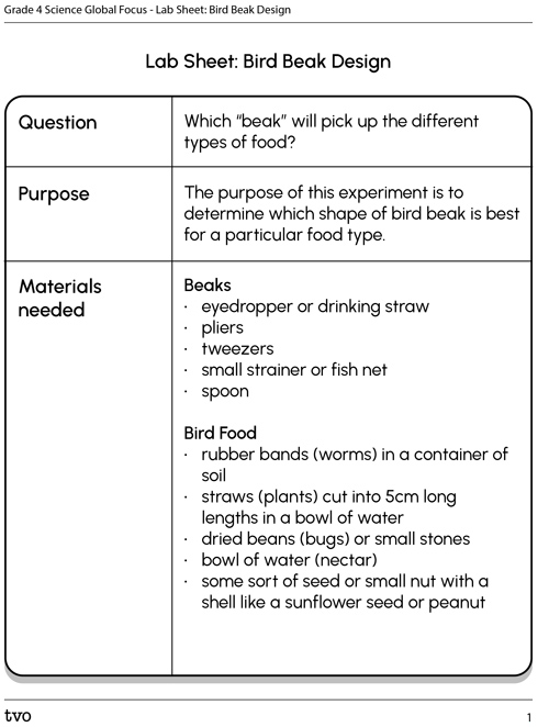 Lab Sheet: Bird Beak Design