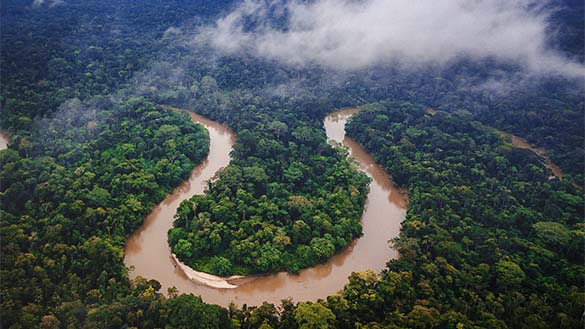 A large river curves through a dense rainforest.