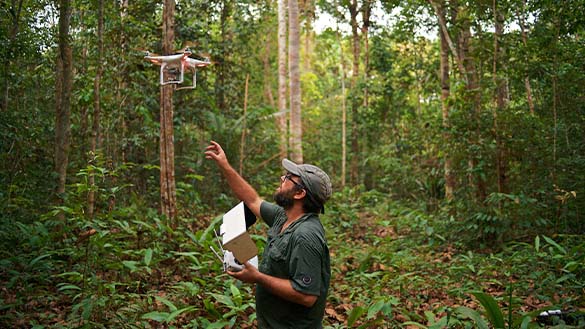An environmentalist uses a drone for research.