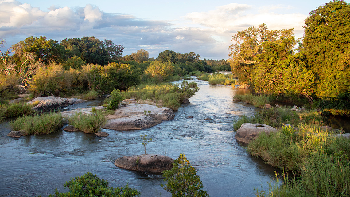 A river surrounded by trees and green landscape. 