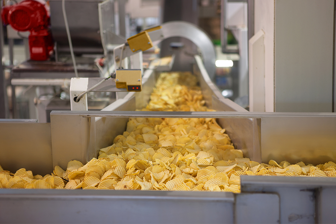 Potato chips on a conveyer belt in a factory. 
