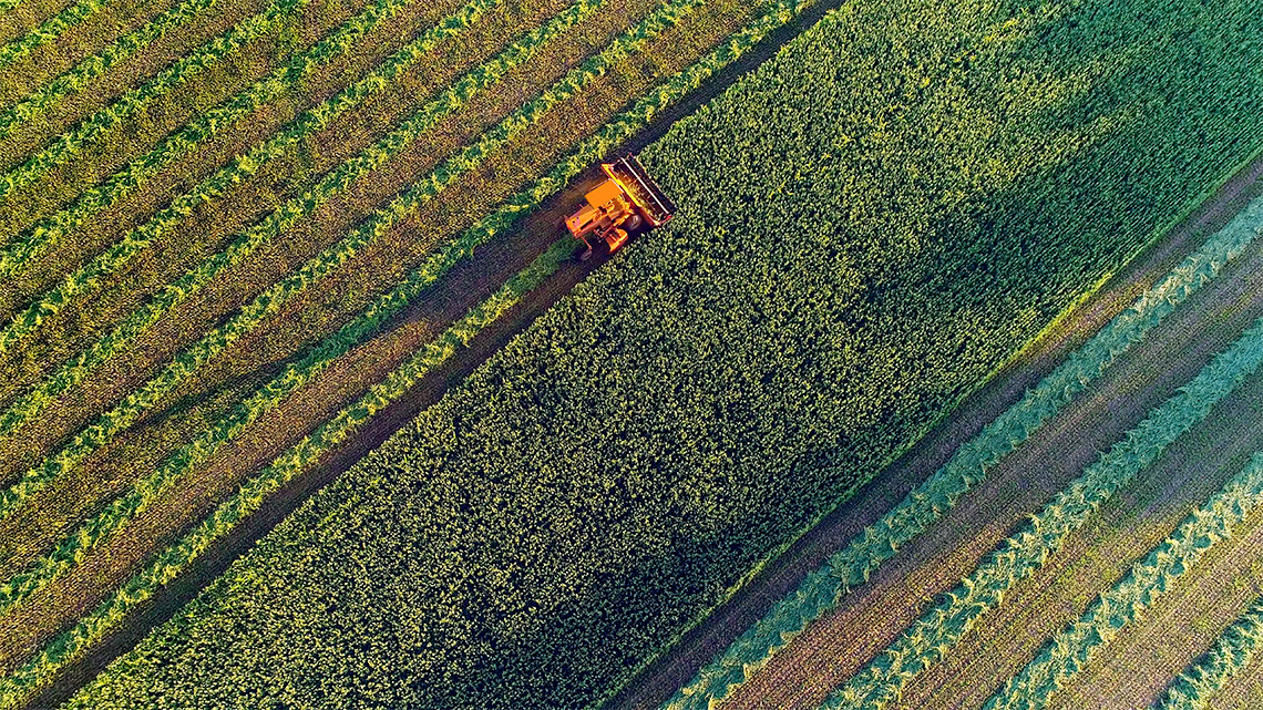 An aerial view of a harvester machine working its way through the field of crops.